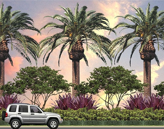 Doral Boulevard Streetscape image 1