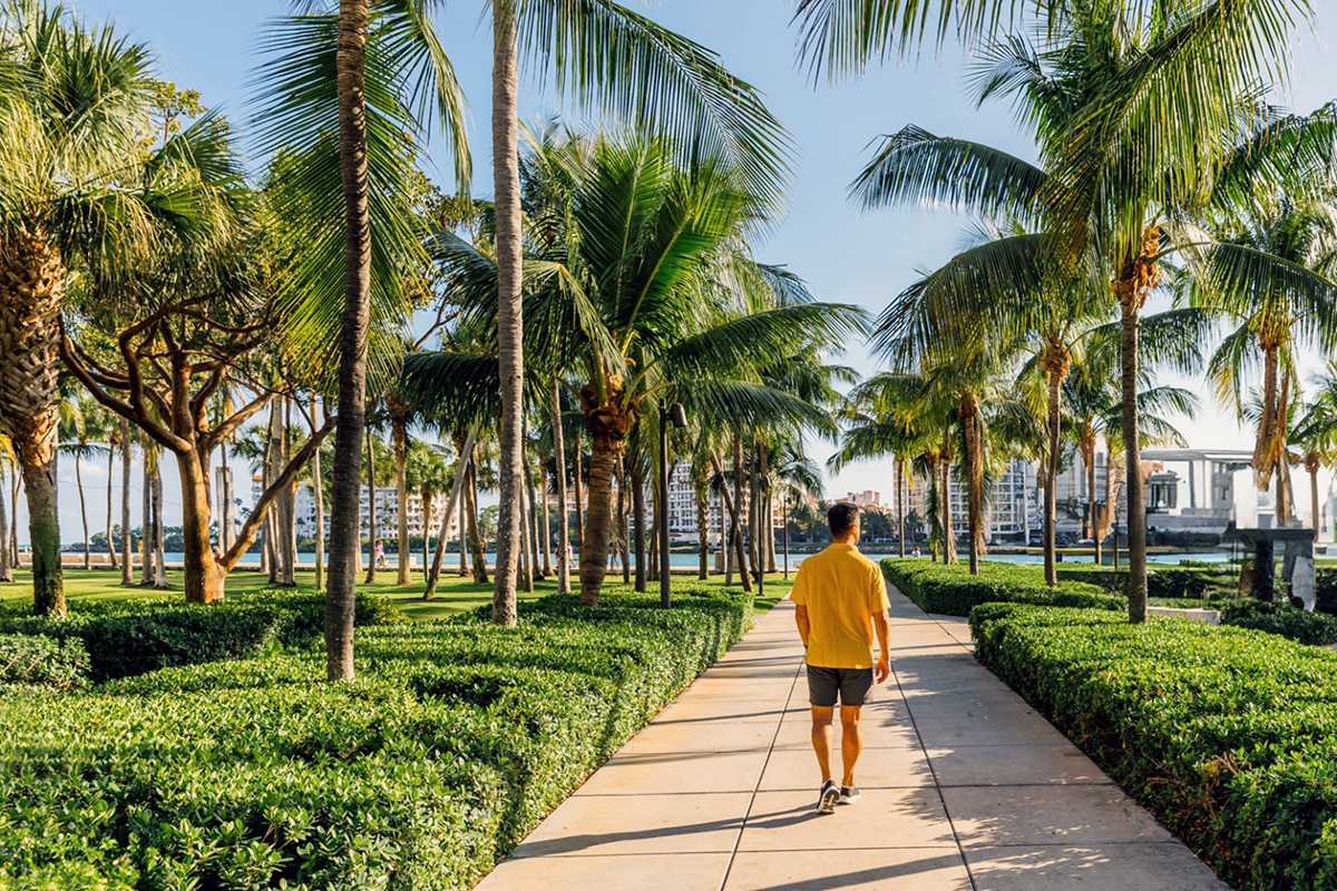 Man Walking Along Palm Tree Park