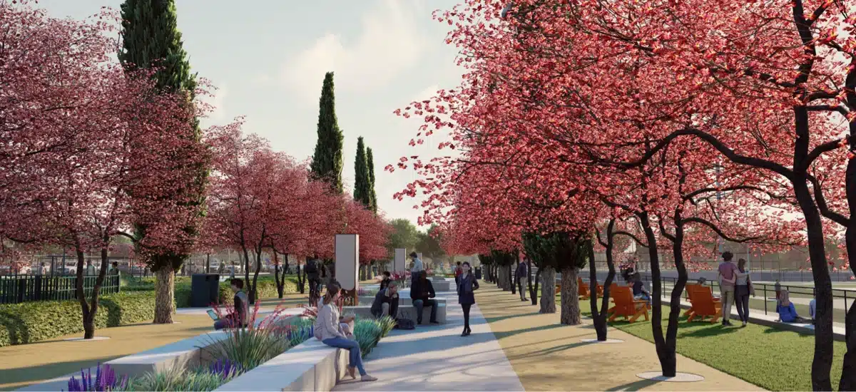 Project Antelope Creek 02